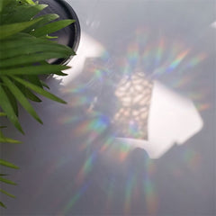 sunlight window sun catcher sticker roomtery